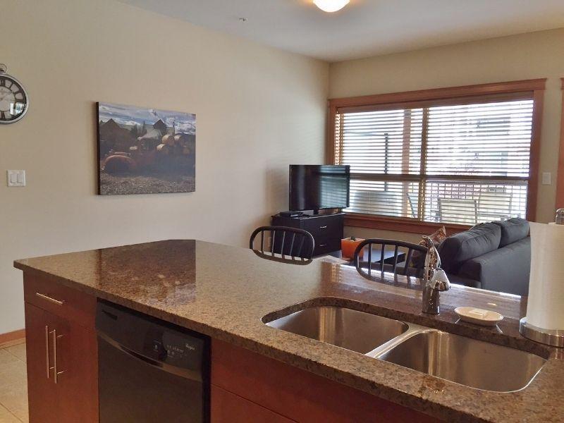 Downtown  Condo, Fully Furnished, Long Term Lease