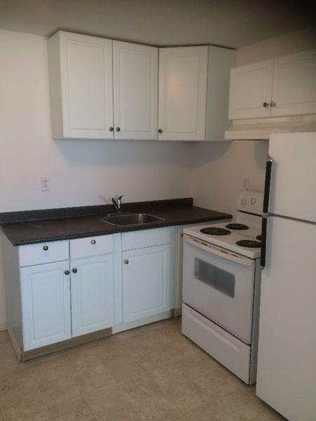 Newly Renovated One Bedroom on Gillett