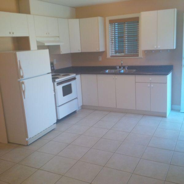 1 bedroom rental suite in Newer Home