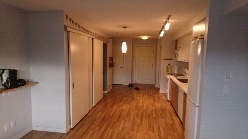 1 Bedroom Apartment with Den - Top Floor (4th) - The Mode