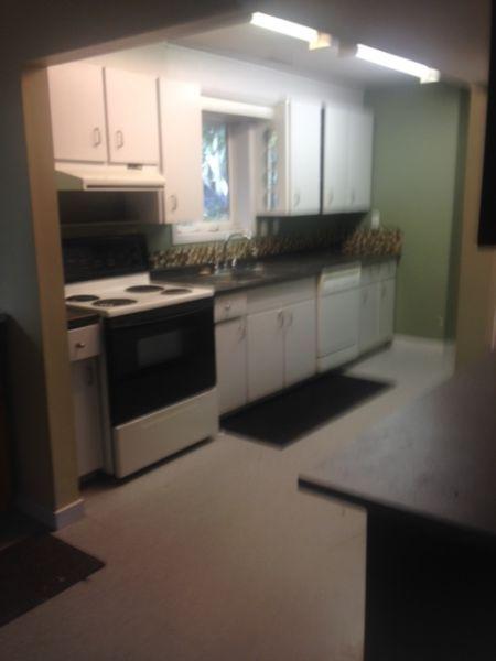 2 Bedroom Basement Suite Dallas