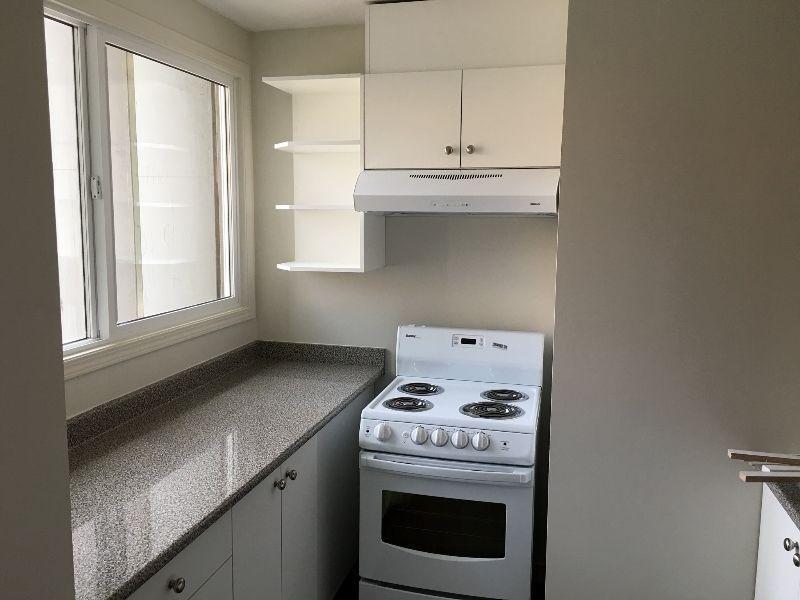 Downtown  2 bedroom Apartment