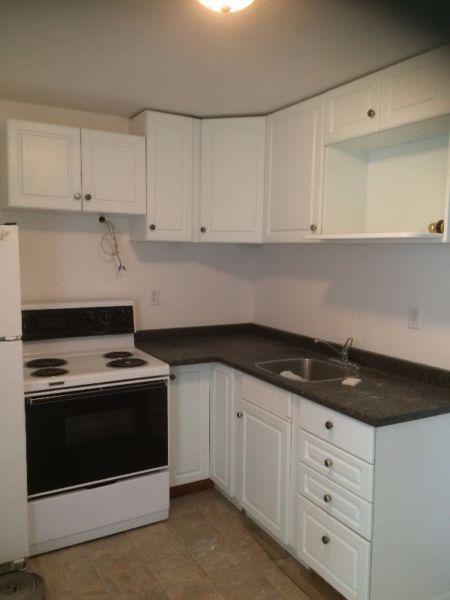 Newly Renovated 2 Bedroom suite on Gillett