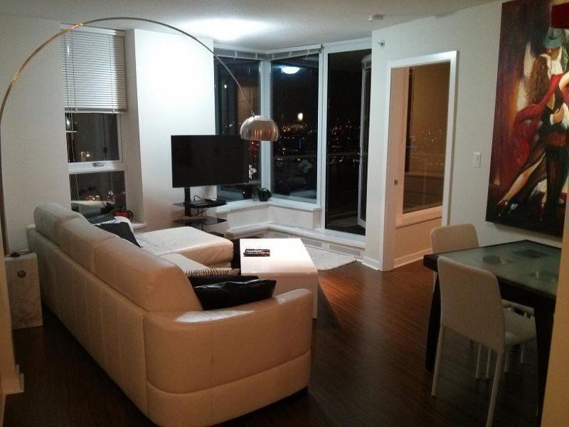 Gorgeous Fully Furnished 2 BR Apartment in