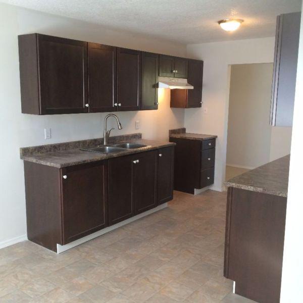 Beautiful Newly Renovated 3 Bedroom suite on Gillett!!!!