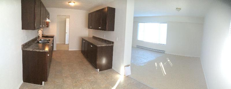 Beautiful Newly Renovated 3 Bedroom suite on Gillett!!!!