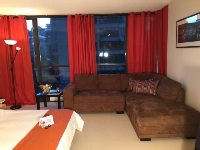 Furnished studio downtown,parking,insuite laundry,gym,dishwasher