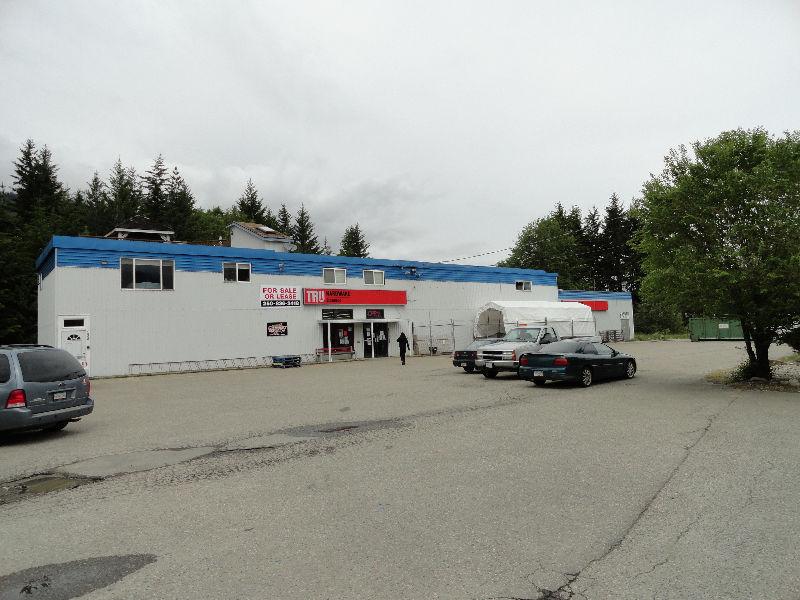 PROPERTY FOR SALE OR LEASE IN SICAMOUS
