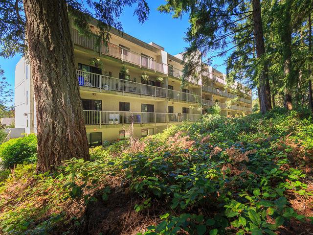 Well-maintained, Centrally Located North  Condo