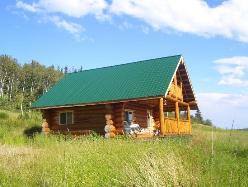29 Acres with a Log Cabin