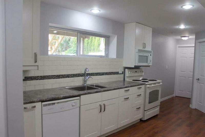 1 Bedroom Basement Suite for Rent