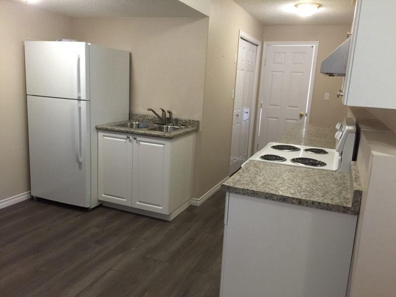 2 bedroom spacious basement suite (westgate)