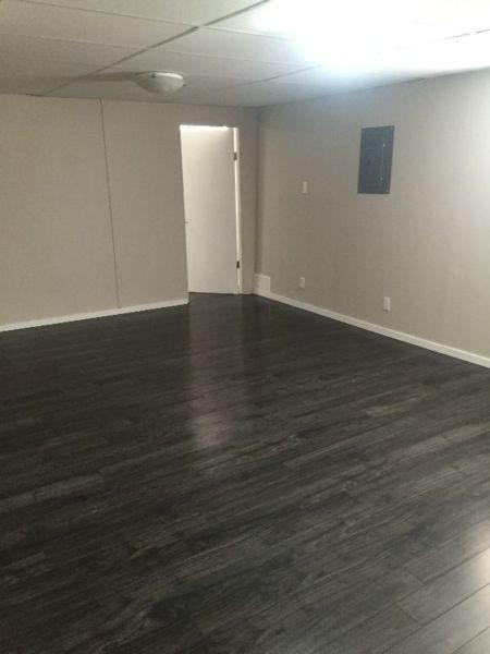One bedroom basement Suite