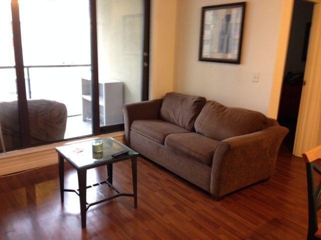 2 BEDROOM,2 BATHROOM CONDO,FURNISHED,DOWNTOWN, DRAKE & HOWE,OCT1