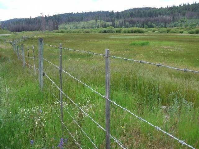 40 Acres for sale in Logan Lake
