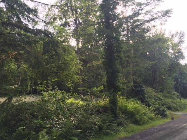 Exceptional 1+ Acre Private lot!