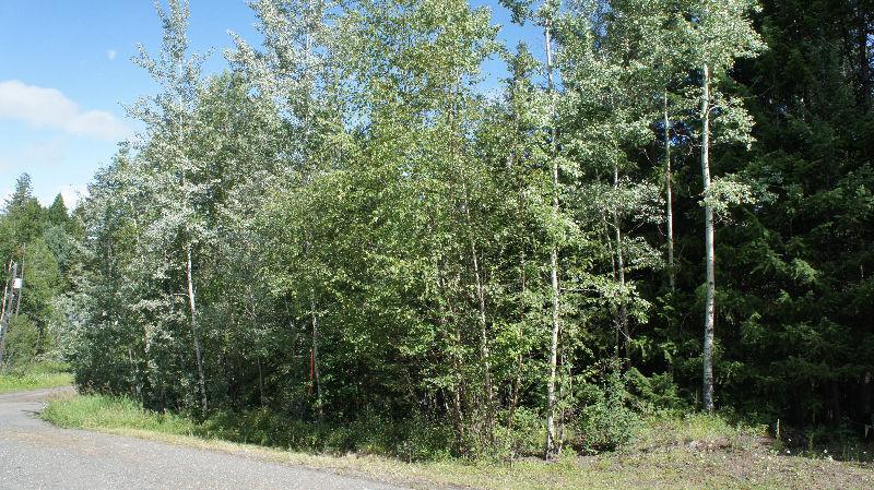 One Acre Building Lot in Established Subdivision