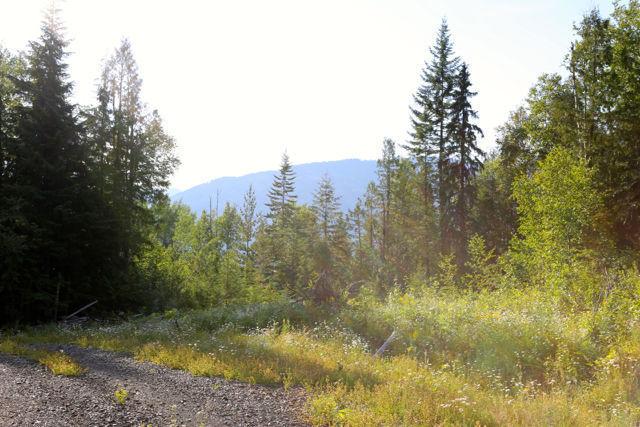 163 acres in Beautiful Salmo. Serene, private, amazing views