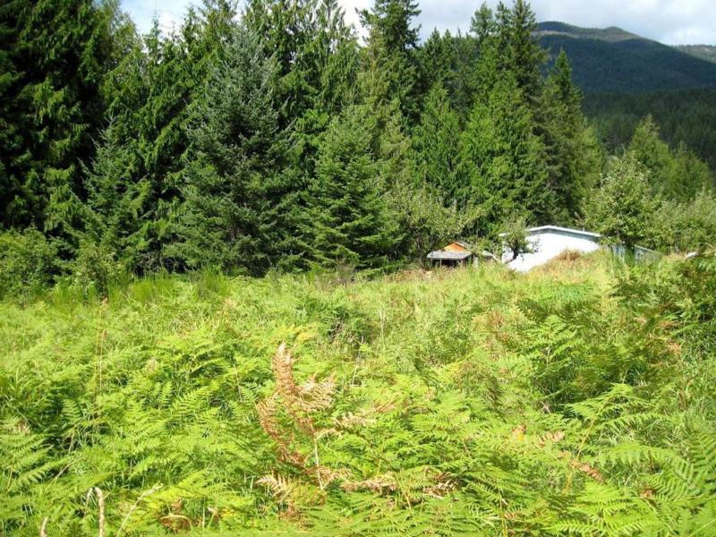 Stunning views of Kootenay Lake from Balfour acreage