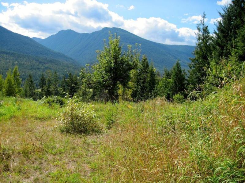 Stunning views of Kootenay Lake from Balfour acreage