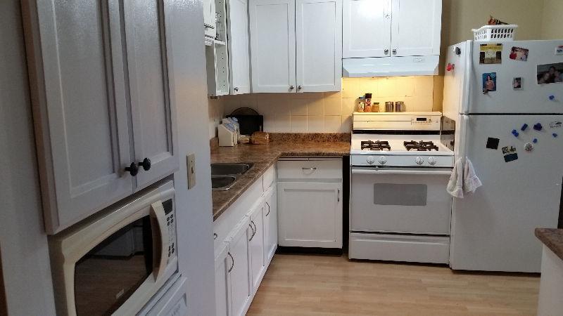 Roommate wanted for North  townhouse