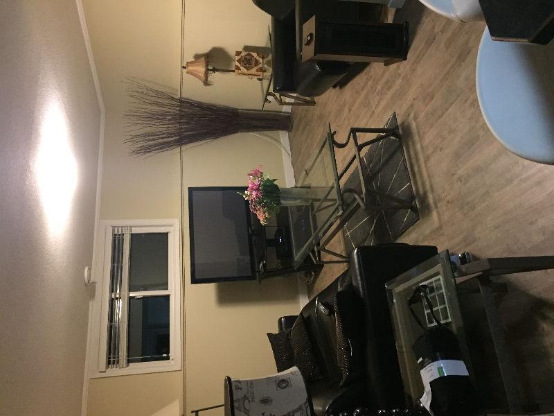 Looking for room mate for basement suit