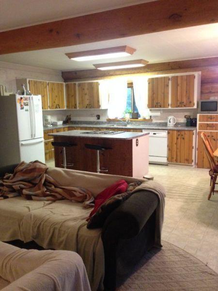 Two bedrooms or Basement w/ private bathroom Available