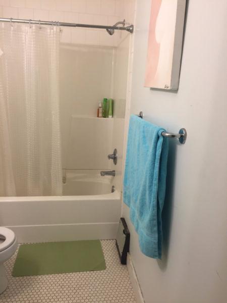 looking for roommate in 2 bedroom Mt Pleasant