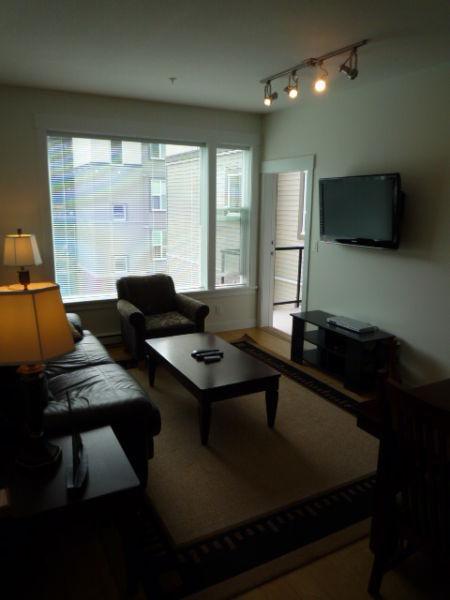 **You Won't Want To Leave! The Best Furnished Suite** (CB)
