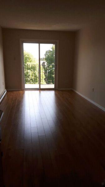 Modern and Spacious 1 Bedroom Apartment $700.00