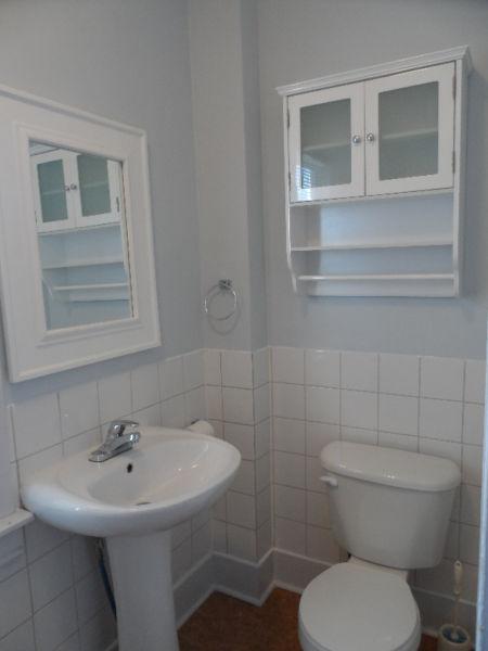 Safe, clean & quiet centrally located 1 bedroom apartment