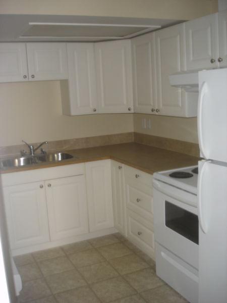 Completely Renovated 1 Bedroom