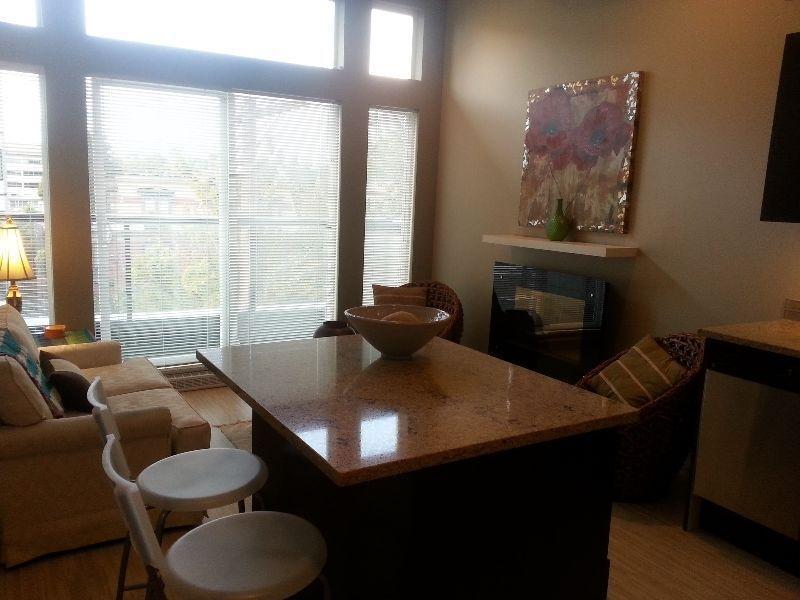 beautiful modern condo available to rent