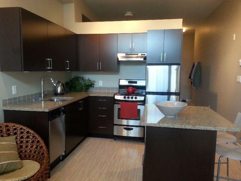 beautiful modern condo available to rent