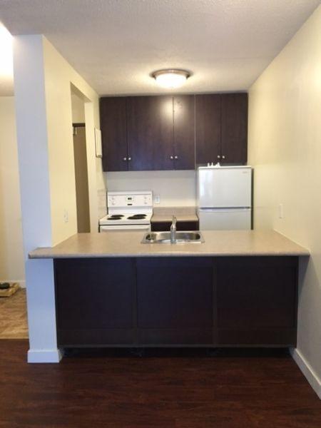 Great Downtown location! 1 bedroom apartment- awesome value!