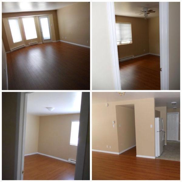 Ground floor - South facing- Available now-Great Location 725$