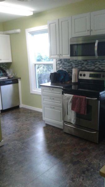 Large 2 bedroom apt - All included - pets accepted