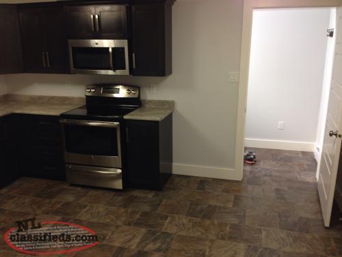 Beautiful 2 Bedroom Basement Apartment for rent- Southlands