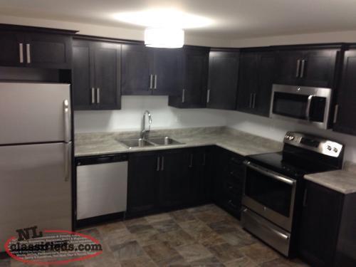 Beautiful 2 Bedroom Basement Apartment for rent- Southlands