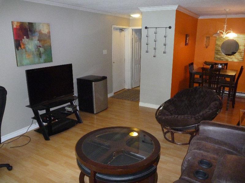 Furnished Condo on Forest Road (Near downtown)