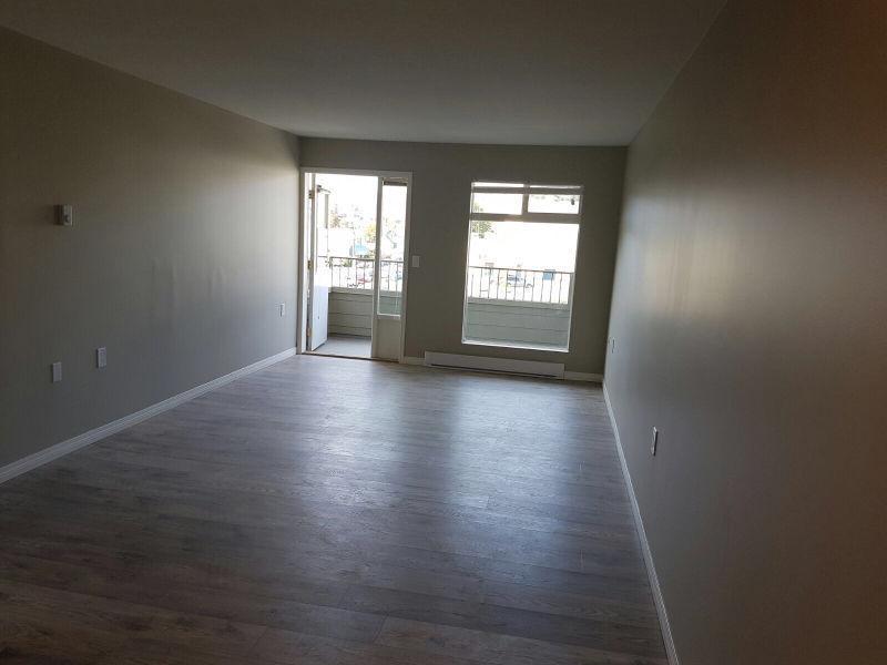 Newly renovated 2 bedroom condo