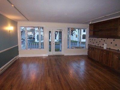 Large main floor apartment downtown
