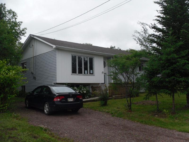 NEW PRICE! Fixer Upper Home For Sale in Botwood