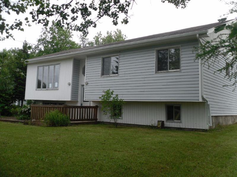 NEW PRICE! Fixer Upper Home For Sale in Botwood