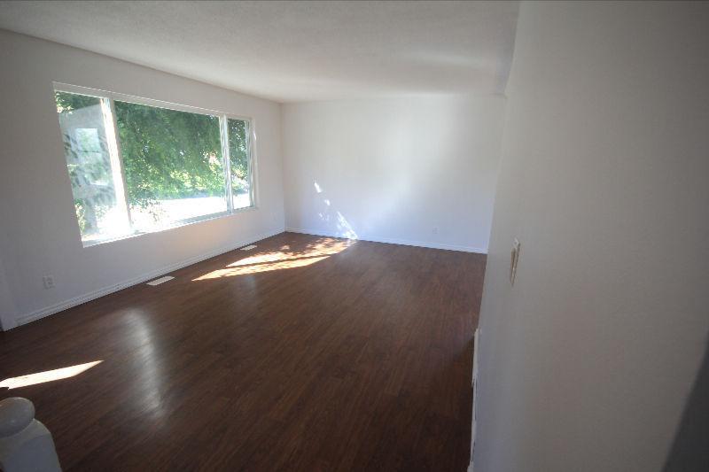 3 Bed, Top Floor, Newly Updated in Desirable Mission Hill