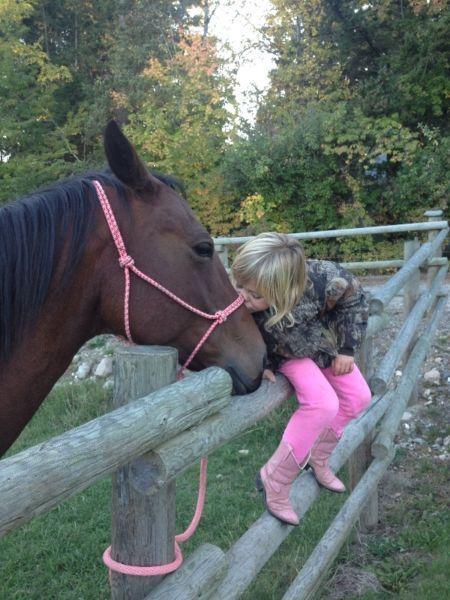 Wanted: WANTED! Horse friendly acreage to rent