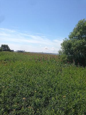 Grand terrain, bord de l'eau, Maison centenaire