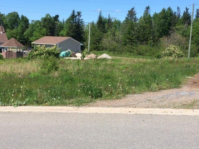 15 Wagg Place, Pasadena-Perry & Cherie-NL Island Realty