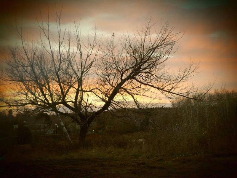 HAVE YOU DREAMED OF OWNING WATERFRONT PROPERTY/1/