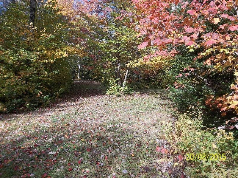 Cool Country Setting Land For Sale